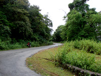 DSC00541