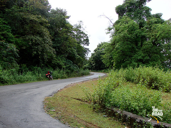 DSC00541