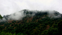 DSC00537