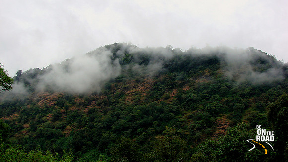 DSC00537