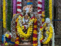 Lord Natarajar on Thiruvatharai Festival Day at Kallidaikurichi