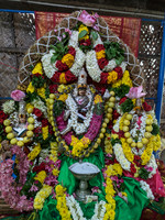 Lord Natarajar and his consorts all decked up on Thiruvatharai Festival Day