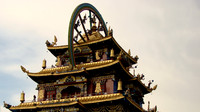 DSC03331