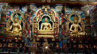 DSC03320