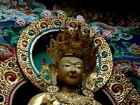 DSC03317