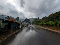 At the foot of the Western Ghats at Puliyarai on the Shencottai - Aryankavu (Tamil Nadu - Kerala) border ghat roads