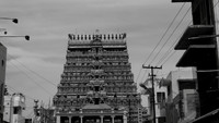 IMG_4028
