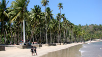 DSC09726