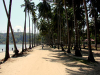 DSC09714
