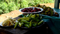 DSC03893