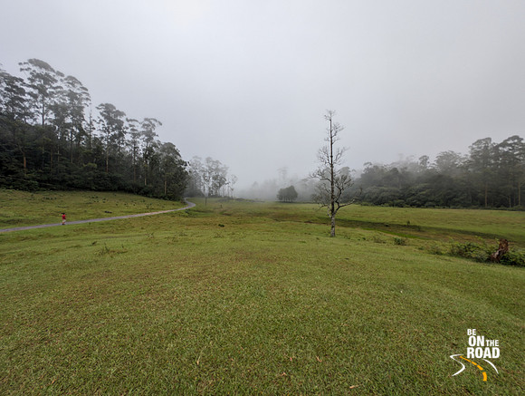 The gorgeous hill station of Kakkachi in Kalakad Mundanthurai Tiger Reserve