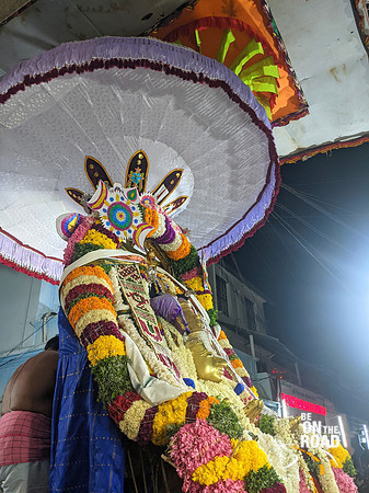 Lord Adi Varaha Perumal on the night of Garuda Sevai, Puratasi month, Kallidaikurichi