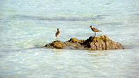 DSC00291