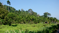 DSC00066