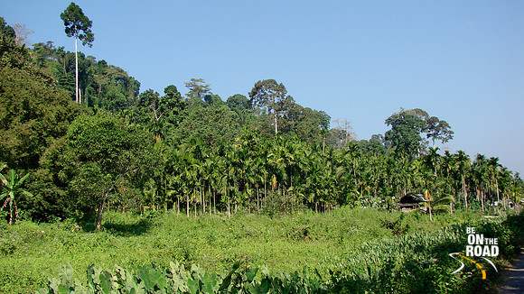 DSC00066