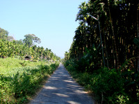 DSC00064