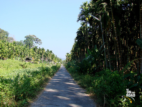 DSC00064
