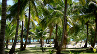 DSC00220