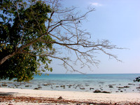 DSC00081