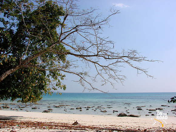 DSC00081
