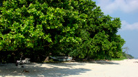 DSC00289