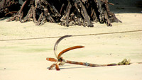 DSC00299