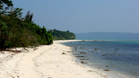 DSC00088