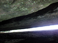 DSC01104