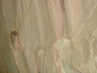 DSC01112