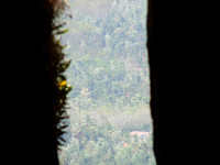 DSC01105