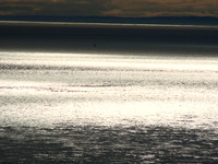 DSC02166