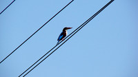 DSC00067