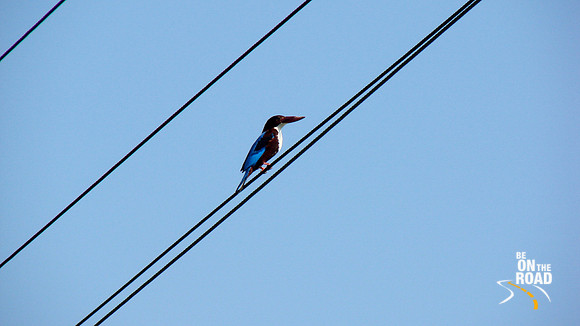 DSC00067