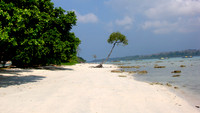 DSC00288