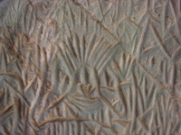 DSC01100