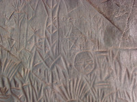 DSC01098