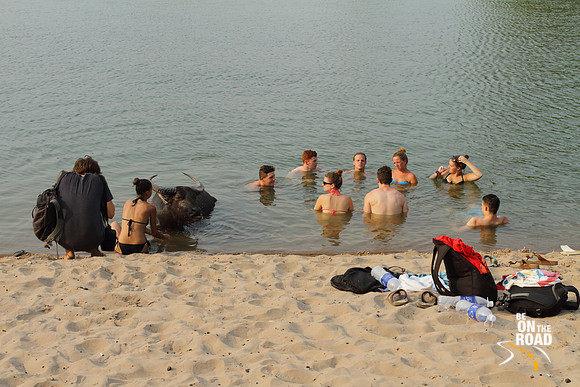 Sharing the Mekong waters with a buffalo to beat the heat at Don Det, Laos