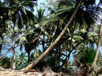 DSC09884
