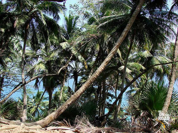 DSC09884