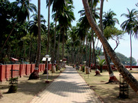 DSC09857