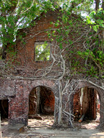 DSC09864