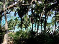 DSC09889