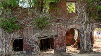 DSC09865