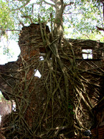 DSC09861