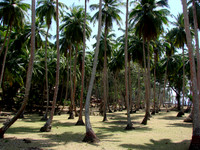 DSC09873