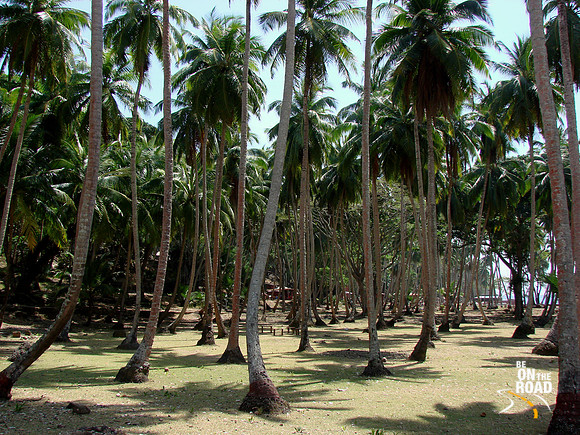 DSC09873