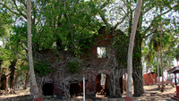 DSC09869