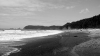 DSC02441