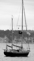 DSC02390