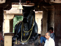 DSC00247